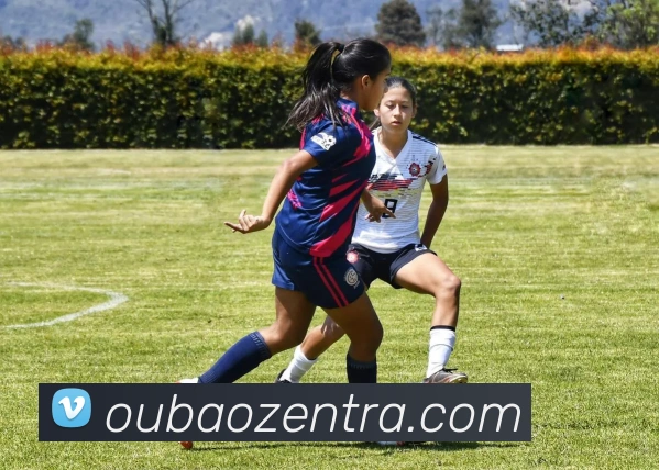 欧宝真人平台生态图