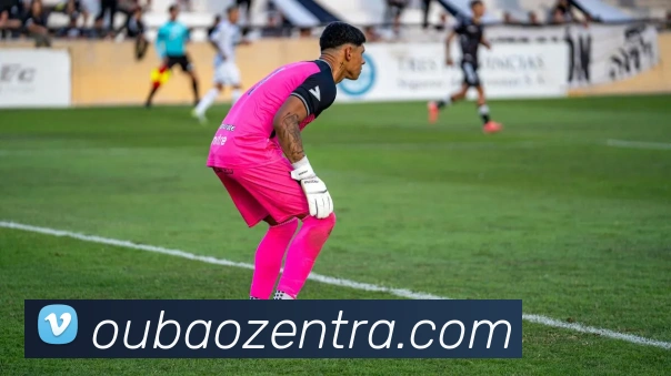 欧宝真人APP 封面图